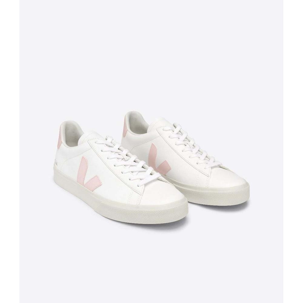 Women's Veja CAMPO CHROMEFREE Low Tops Sneakers White/Pink | SG 463KOR